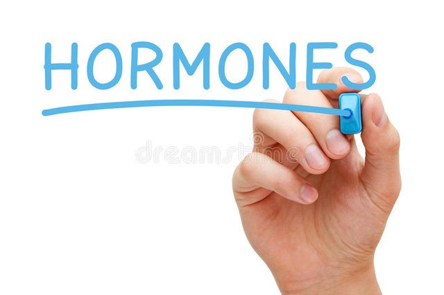 hormones-handwritten-blue-marker-hand-writing-transparent-glass-board-96968080.jpg