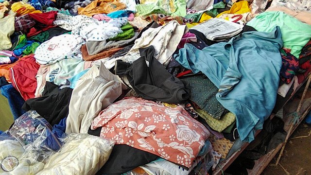 IMG20251003164544_01.jpg