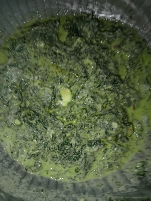 IMG20241202095943.jpg
