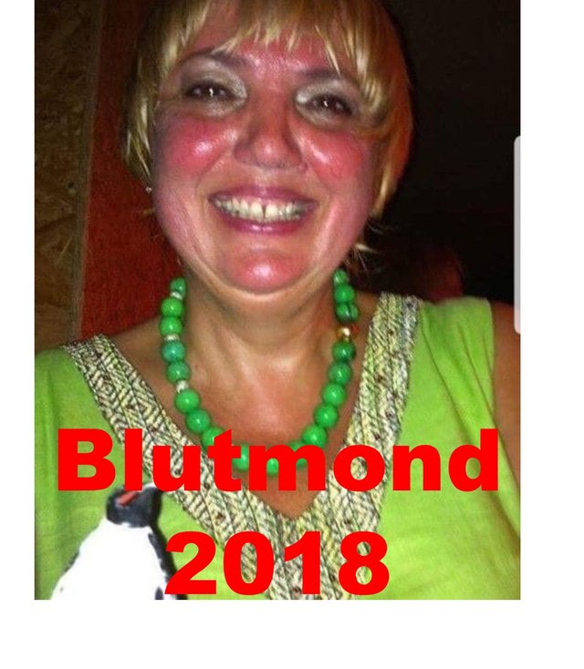 Blutmond 2018.jpg