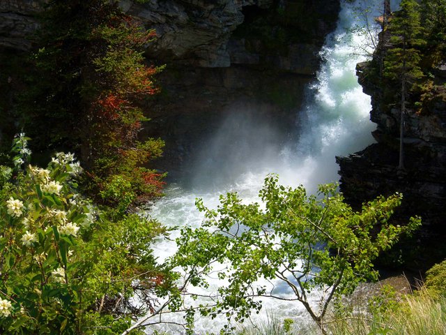 Blakiston Falls