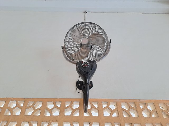 20250802_172948.jpg