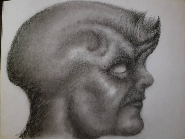 20250507_114750.jpg