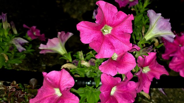 20241211_025822.jpg