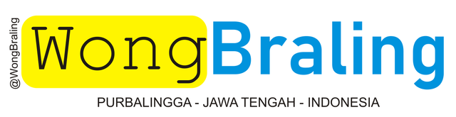 logo wong braling2.PNG