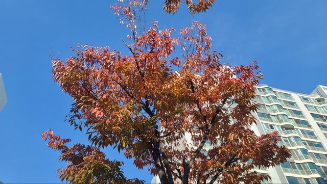 IMAGE 2025-11-11 04:47:00.jpg