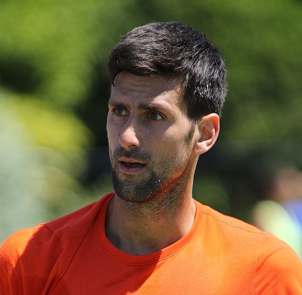 Novak_Djokovic_(34775891004)_(cropped).jpg