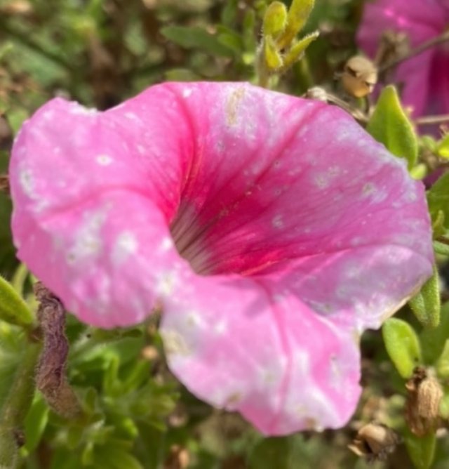 IMG_5145.jpeg