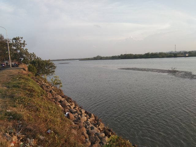 IMG_20250305_181550.jpg