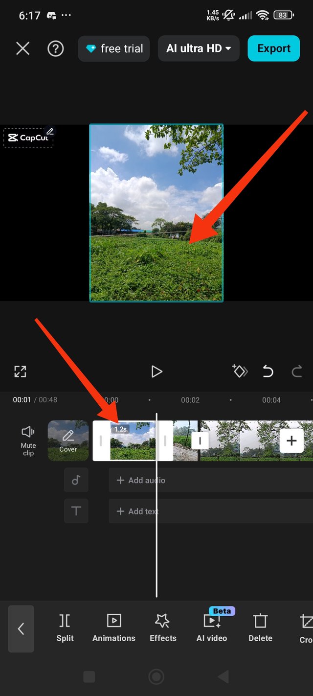 1000000504.jpg