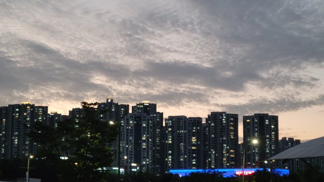 1000432211.jpg