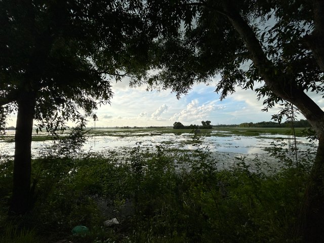 IMG_6507.jpeg