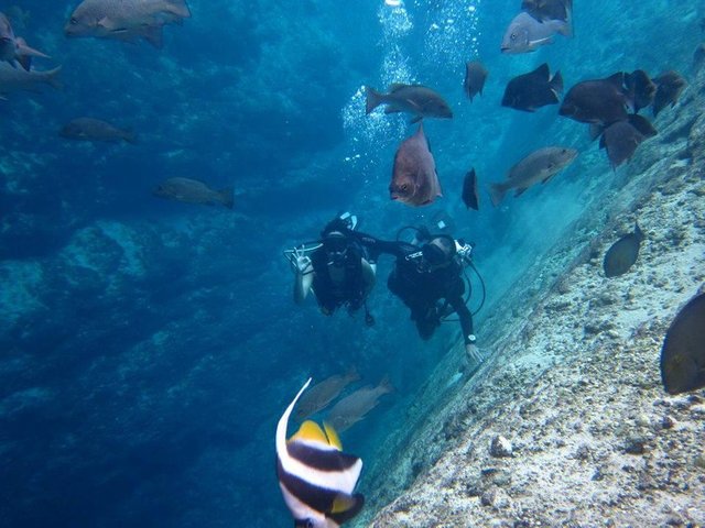 surigao-del-sur-hinatuan-enchanted-river-philippines3.jpg