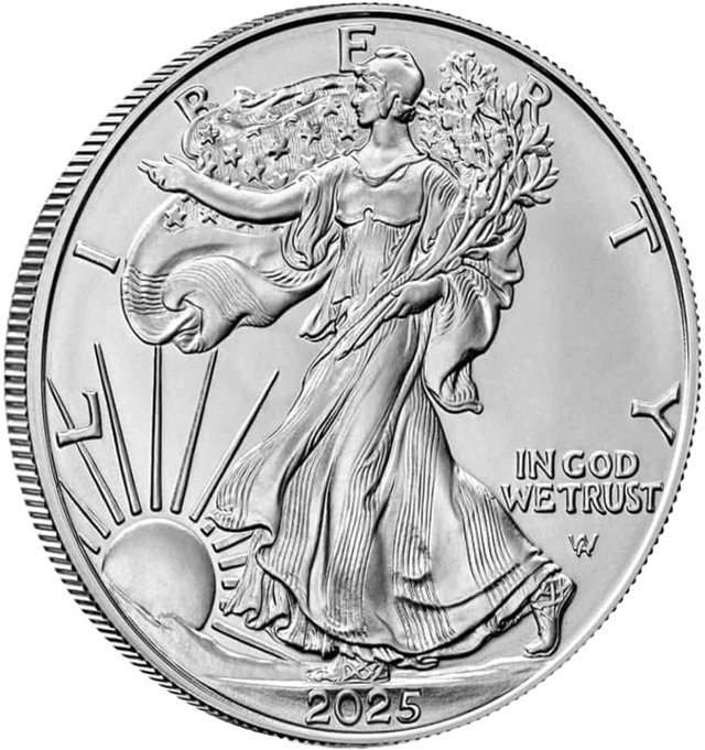 fbig_2025_1oz_Silver_American_Eagle_Coin_obv.jpg