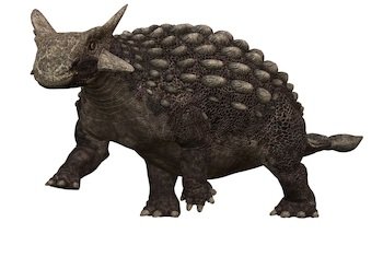 Ankylosaurus-2.jpg