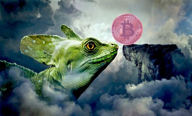 bitcoin-lizard.jpg