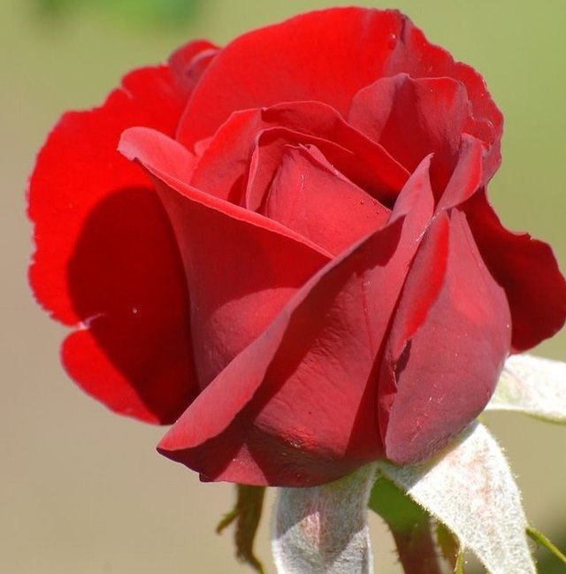 IMG_20250831_224728.jpg