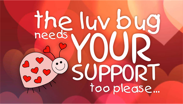 luvbug support.png