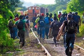 migraccion 1.jfif