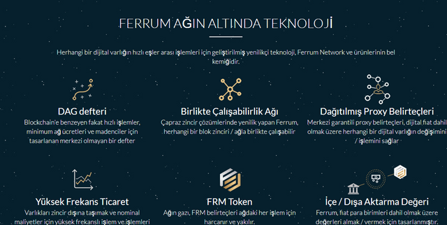 FireShot Capture 1091 - Ferrum Network - The First High-Speed Interoperability Network for R_ - ferrum.network.png