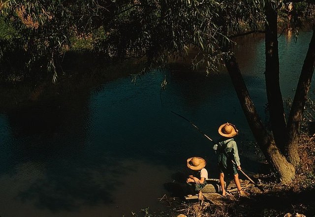 Boys_fishing_in_a_bayou,_Schriever,_La.1a34362v.jpg