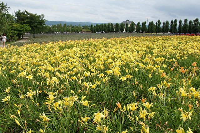 Japan-Hokkaido12802-1665.jpg