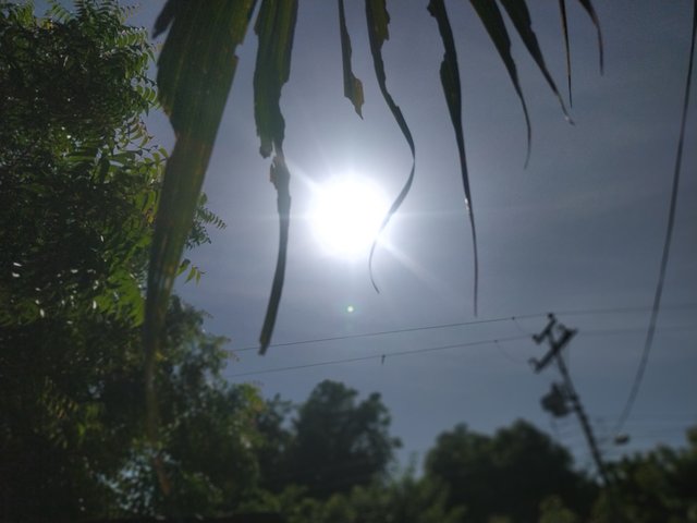 IMG_20250703_093142.jpg