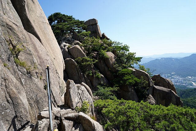 b-DSC08884.JPG