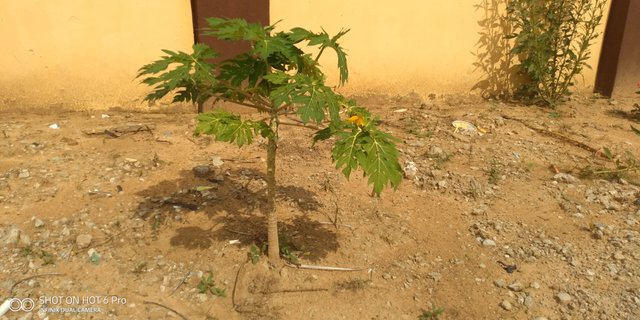 IMG_20220918_151819.jpg