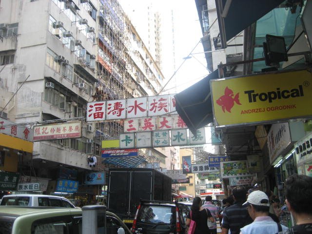 hongkong.jpg