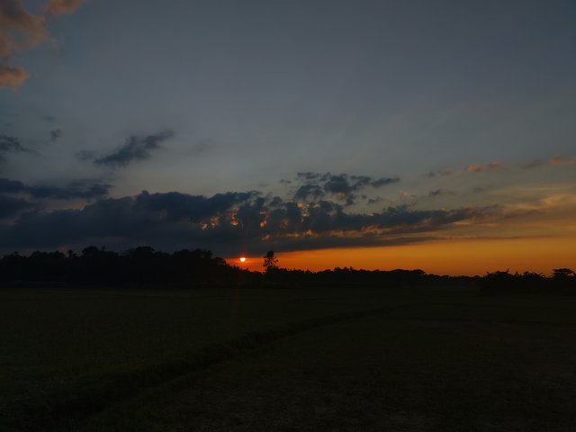 1000049995.jpg