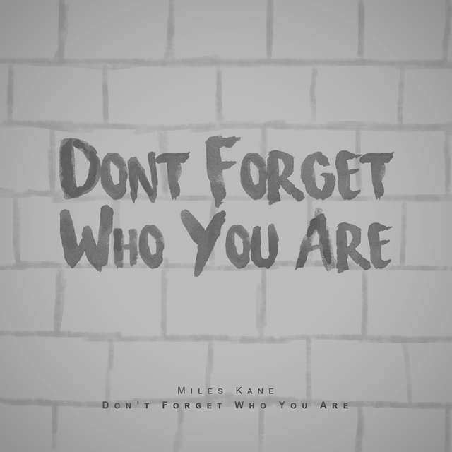 15 - Dont Forget Who You Are - Miles Kane.png