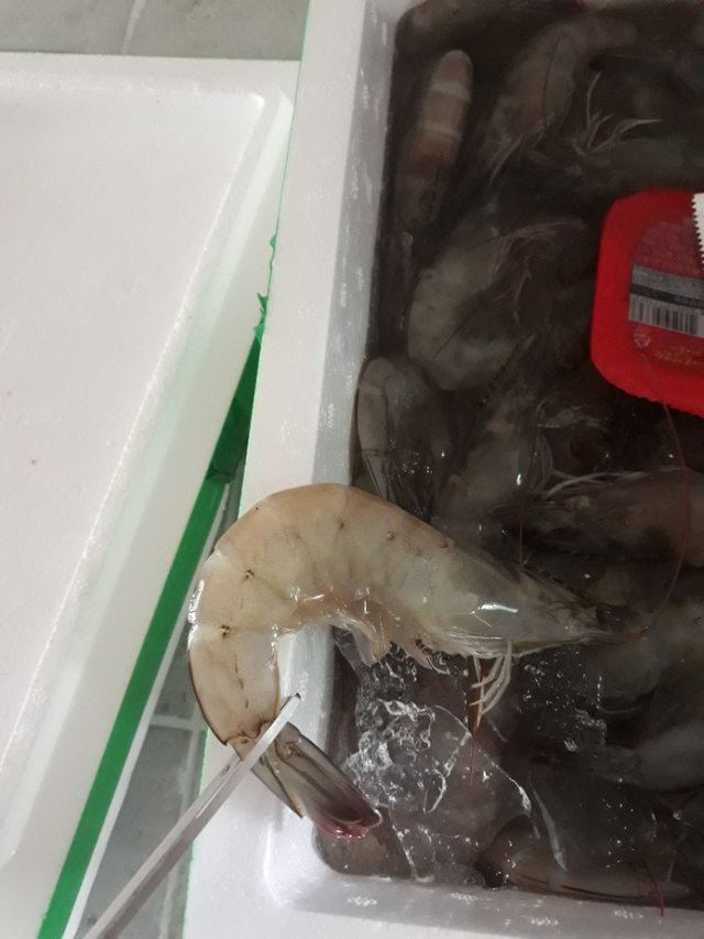 KakaoTalk_20180903_231741714.jpg