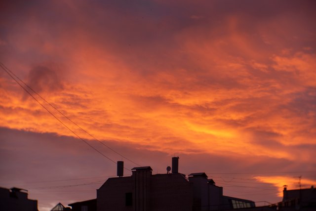 DSC05713.jpg