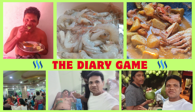 the diary game.png