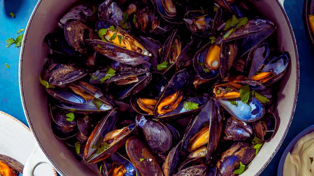 MOULES FRITES.png