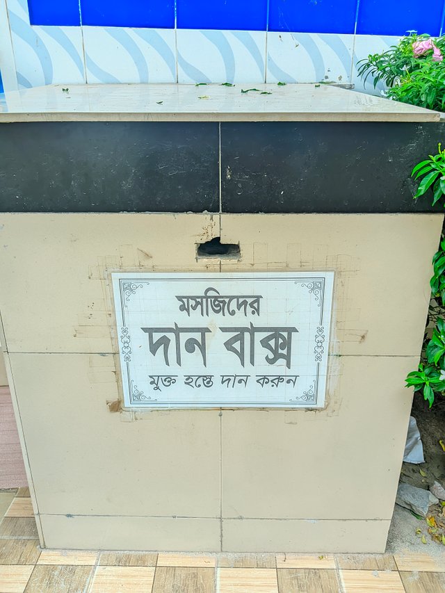 1000050092.jpg