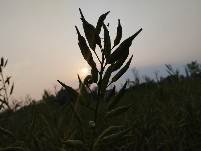 IMG_20250223_170759.jpg