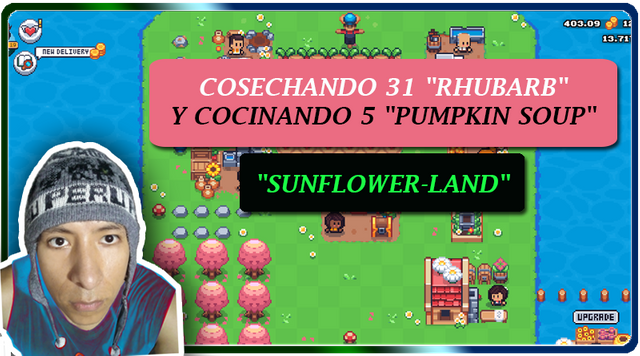 mini_es.png