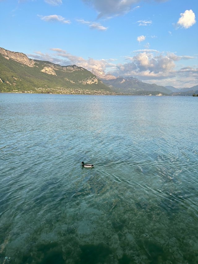 Annecy11.jpg