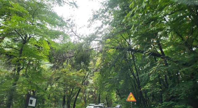 KakaoTalk_20251006_171223971.jpg