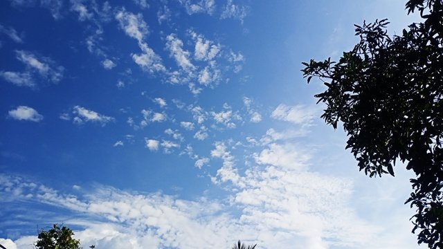 IMG_20250315_163159.jpg