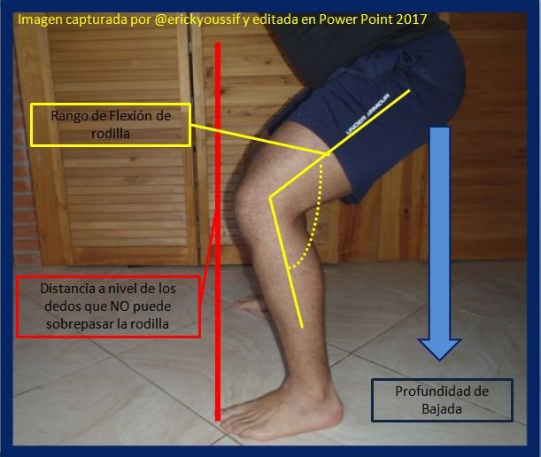 flexion de rodilla.JPG