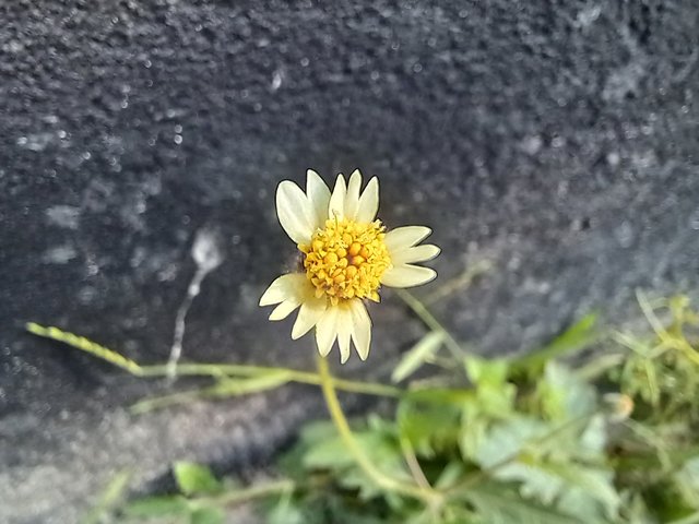 20251015_082043.jpg
