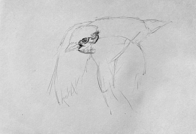 IMG_6671.jpeg