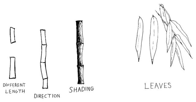 steps-for-drawing-bamboo.jpg