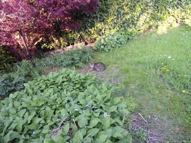 100_2598.JPG