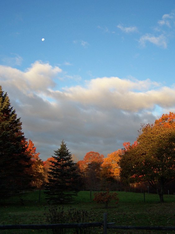 Moonset, sunrise3 crop Oct. 2015.jpg