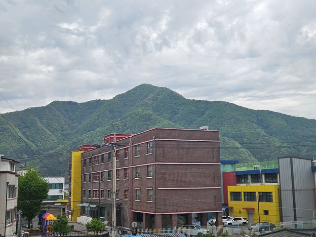 1000032010.jpg