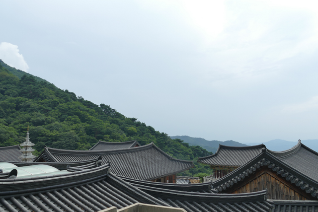 봉화 축서사 006.png